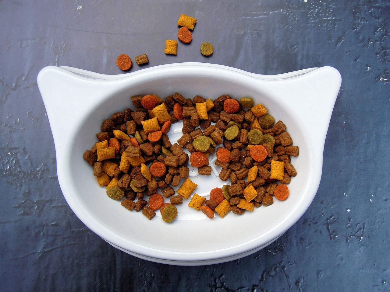 Bowls & Feeding for cats and dogs
