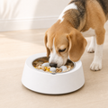 Lifestyle image - Smart Slow Feeder Bowl