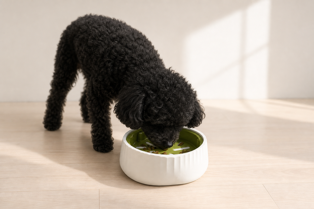 Lifestyle image - Twofold Slow Bowl