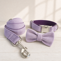 Velvet Loop Collar & Leash lifestyle image