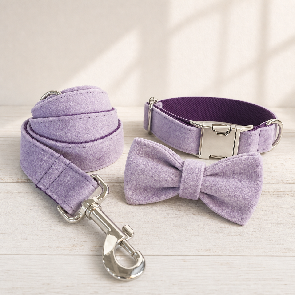 Velvet Loop Collar & Leash lifestyle image